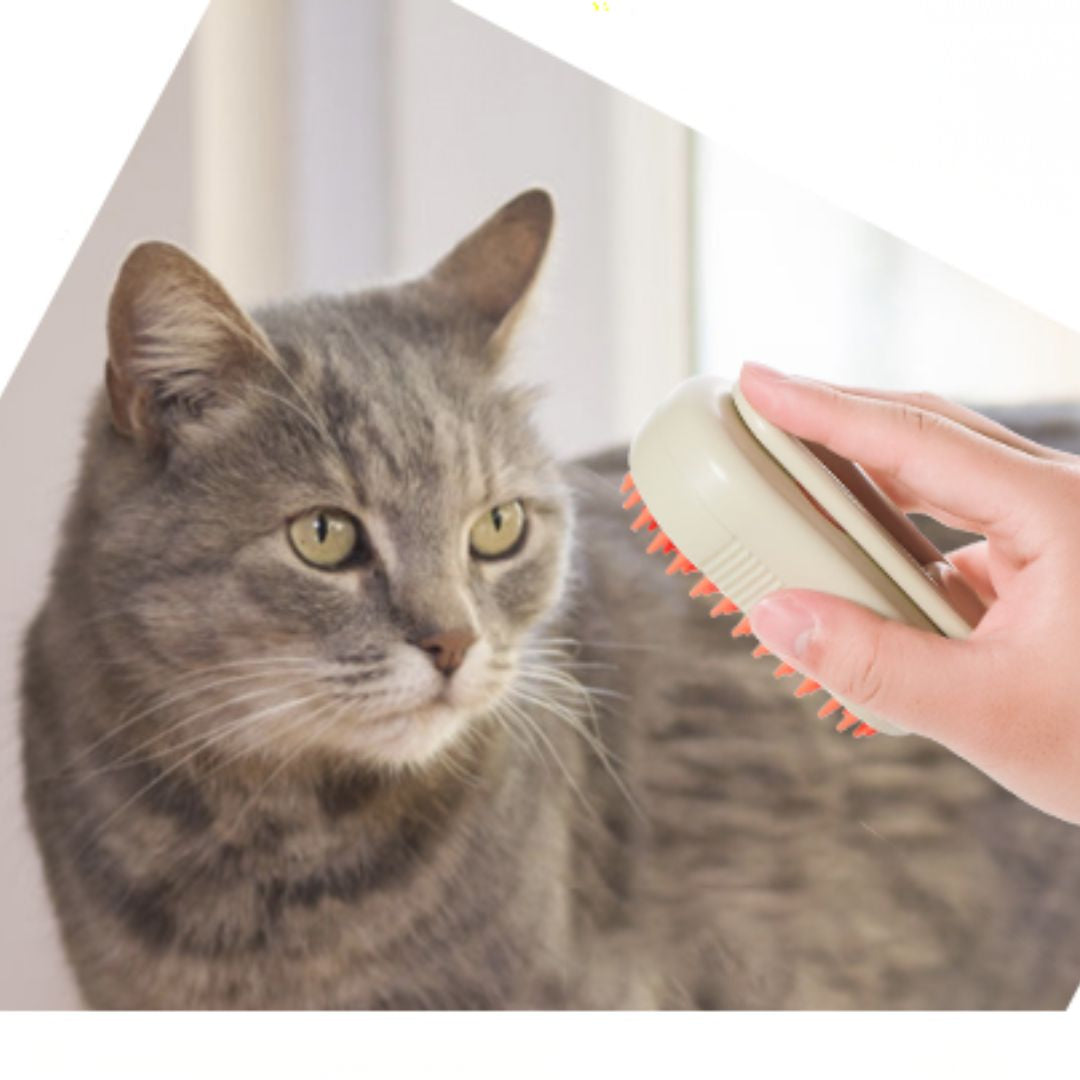 — Laura P., Sevilla